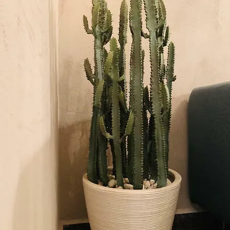 Apartamento Jolene